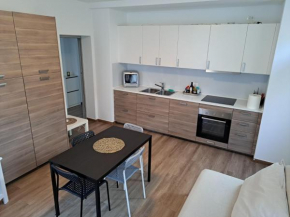 VILLA ESTER -Residenze dolomitiche- Pieve Di Cadore
